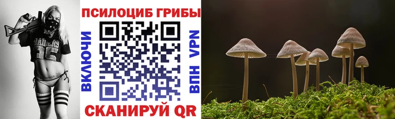 Галлюциногенные грибы MAGIC MUSHROOMS  где купить наркоту  Аткарск 